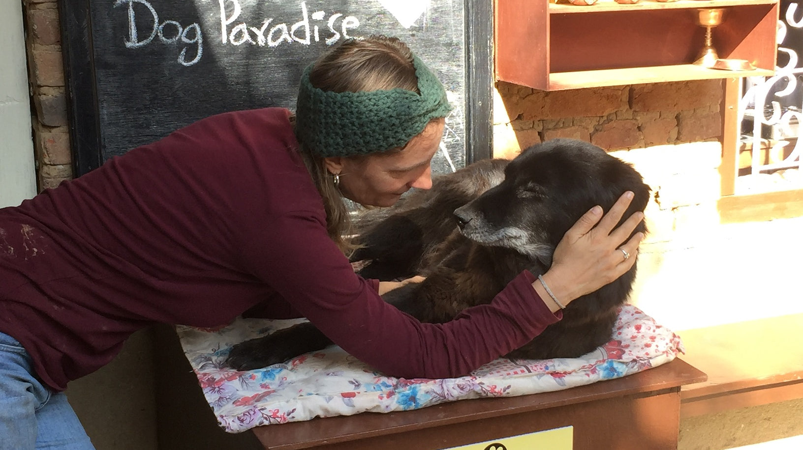 The Luckiest Street Dogs in Kathmandu