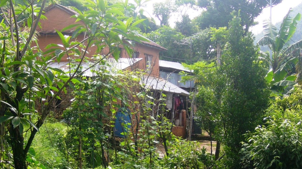 The village where Surya was born