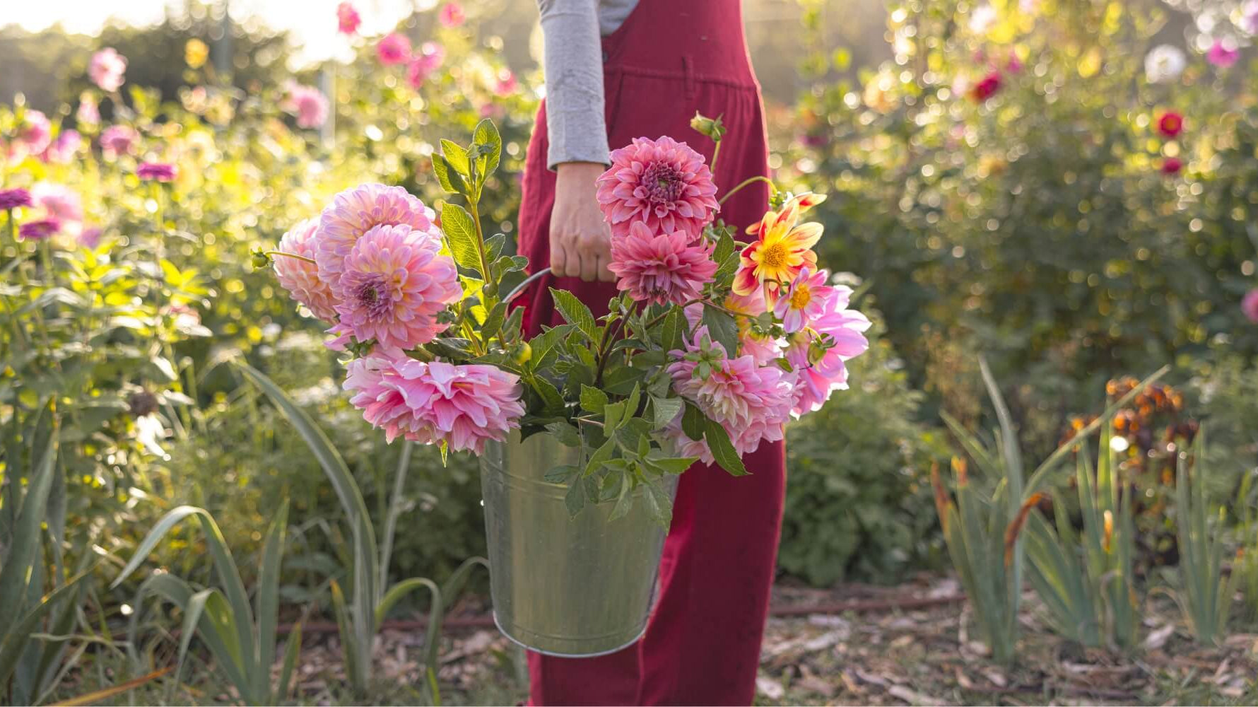 Petal + Bee Flower Farm x Surya