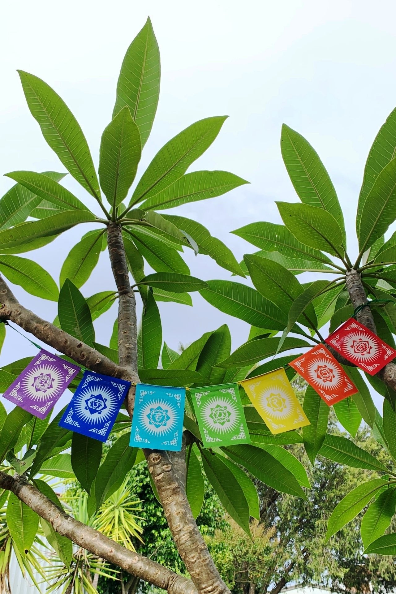 Surya Australia Mini Seven Chakra prayer Flags from Nepal