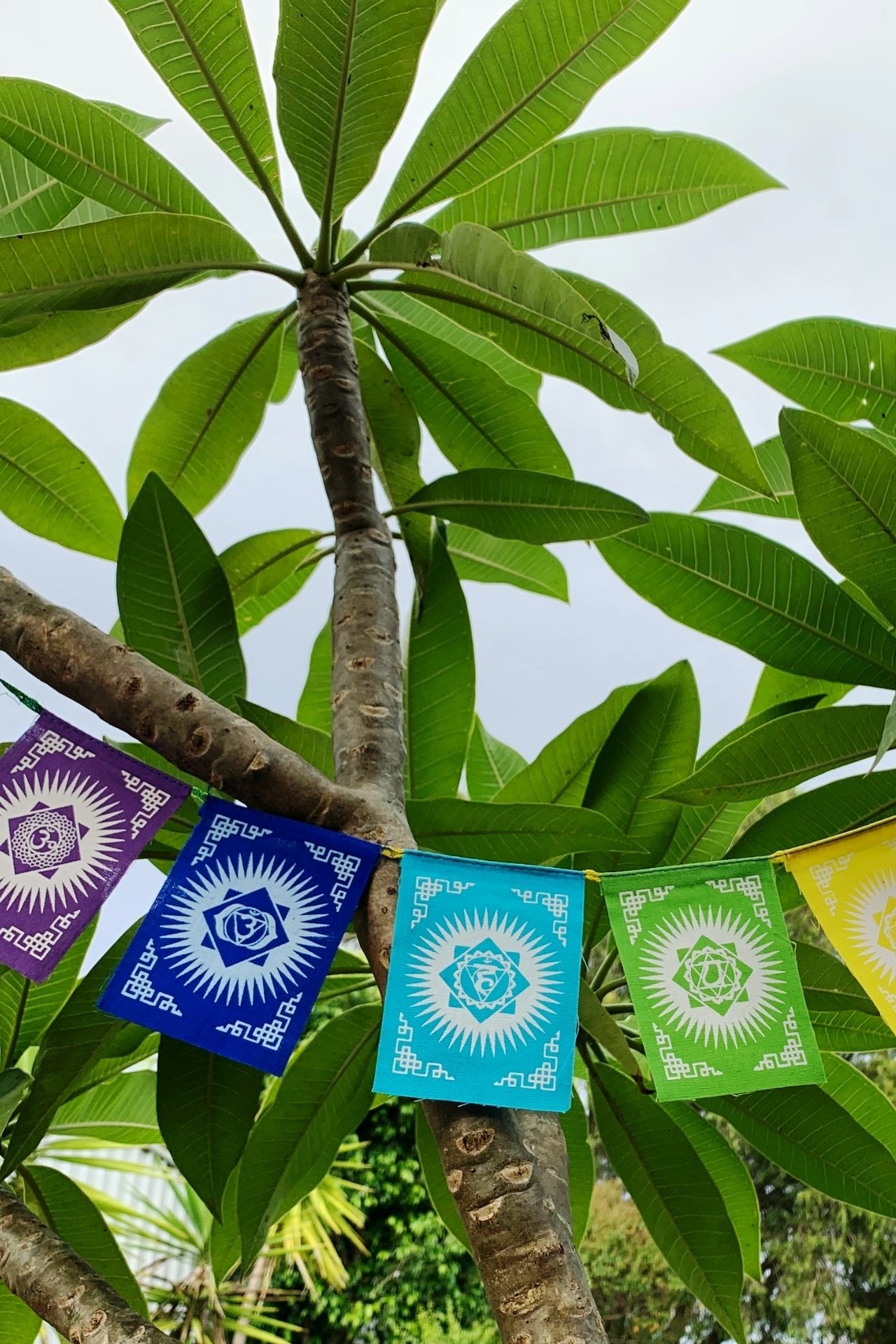 Surya Australia Mini Seven Chakra prayer Flags from Nepal