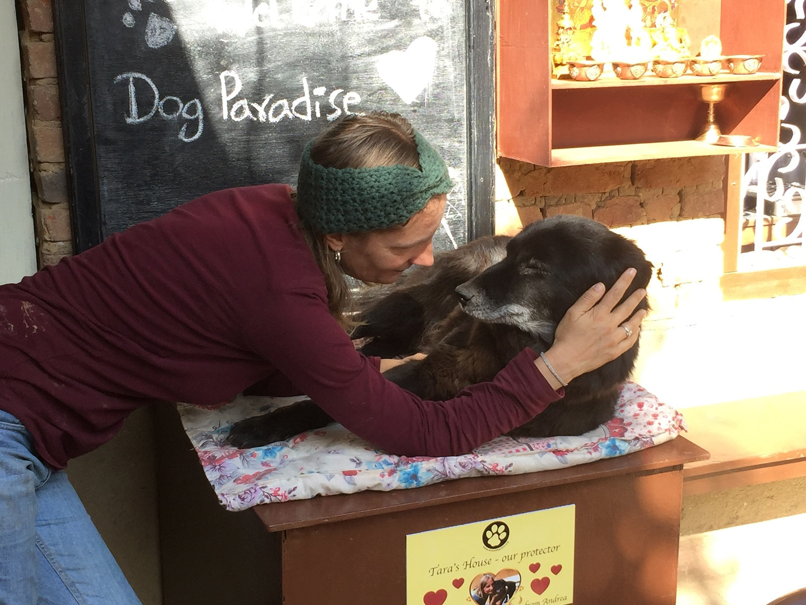 The Luckiest Street Dogs in Kathmandu