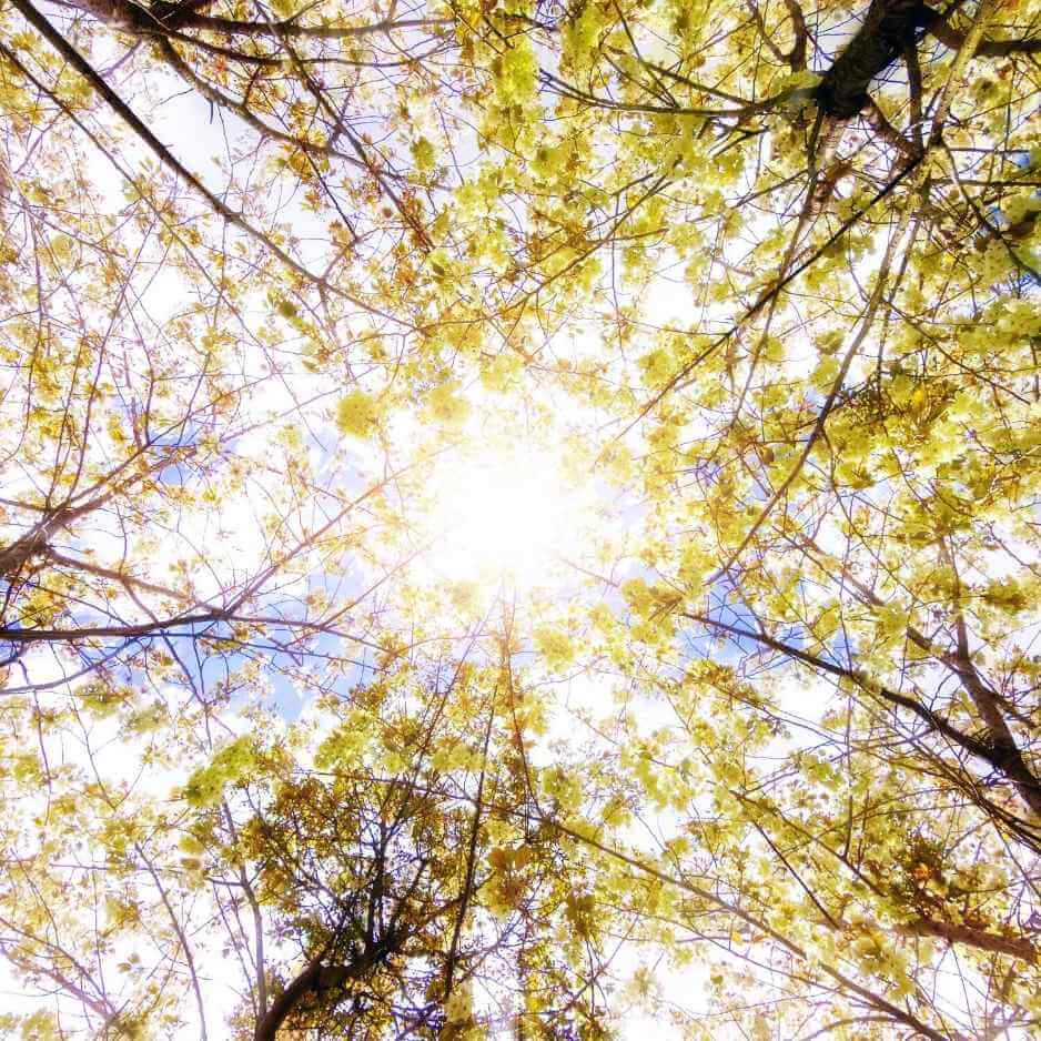 Surya clothing: solar powered