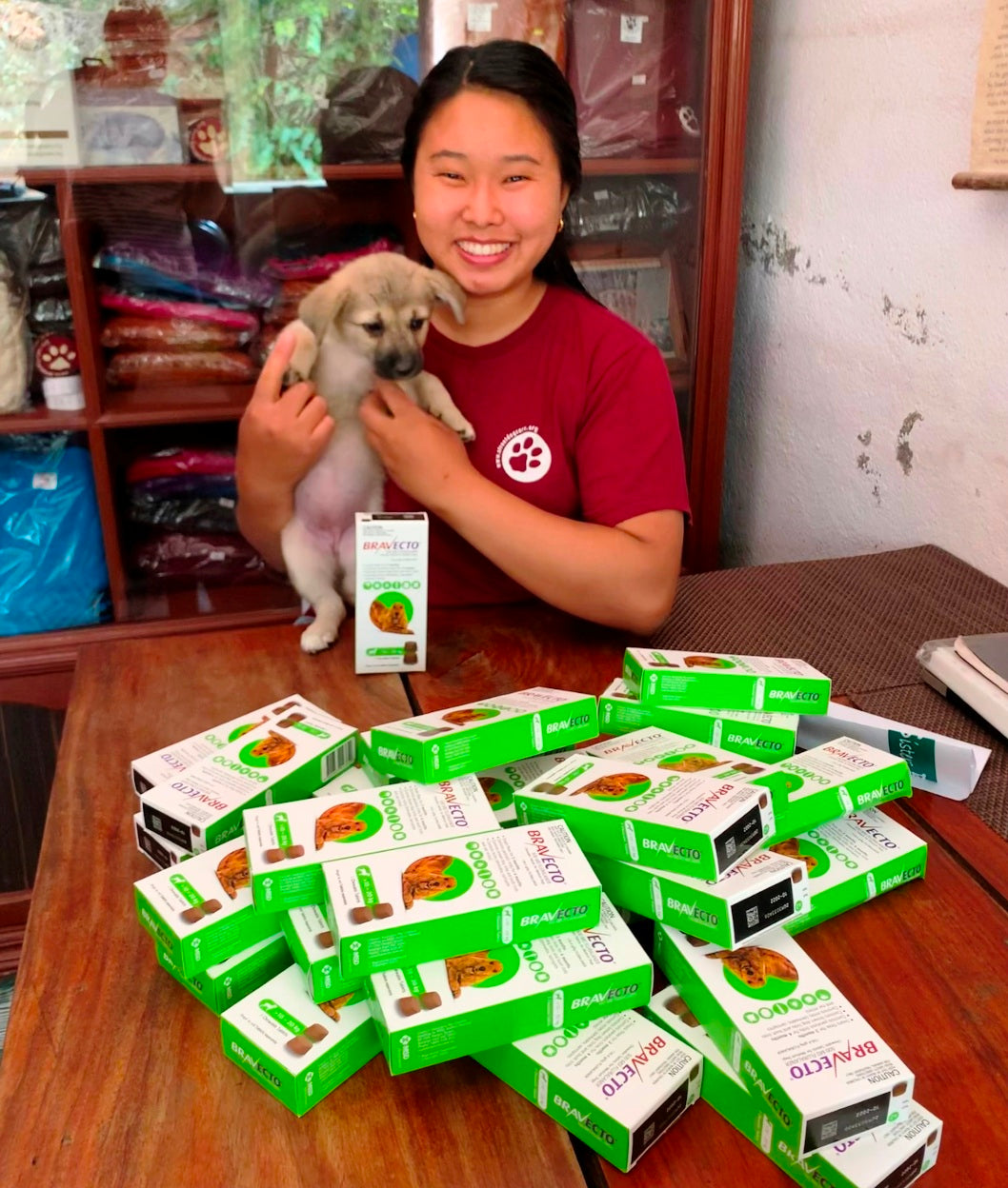 Donating mange medication to Street Dog Care kathmandu