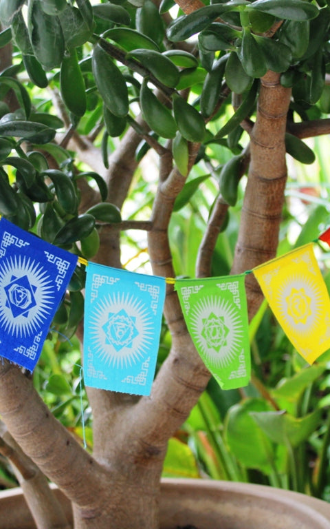 Surya Australia Mini Chakra Prayer Flags 
